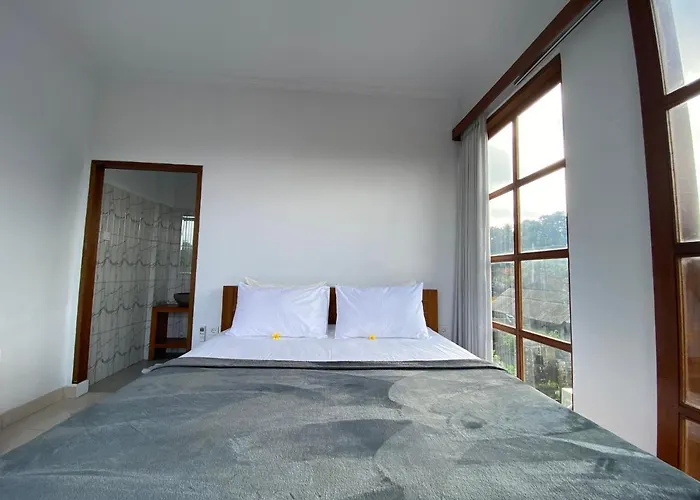 Penol House 4*